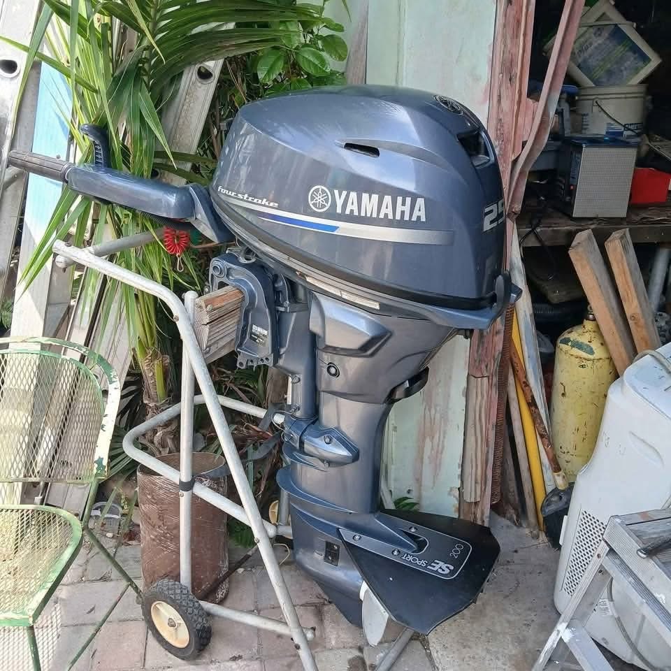 Additional Image 1